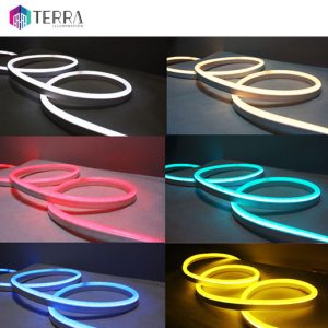 Neon Flexible Terra Illumination